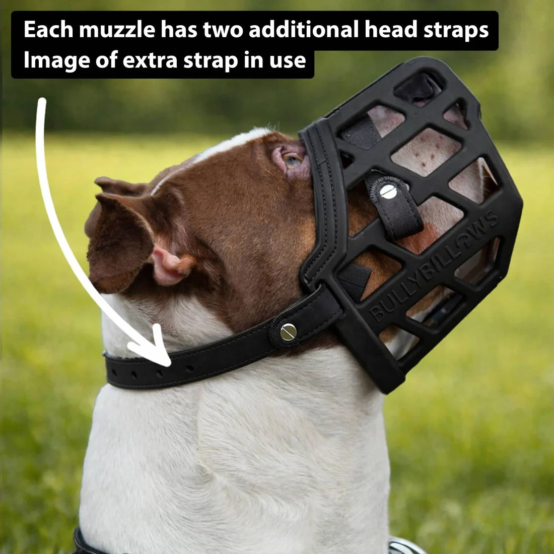 BullyBillows Premium Comfort Muzzle, BLACK – Kuonokoppa