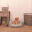 Koiran Peti Boxy Flint Striped