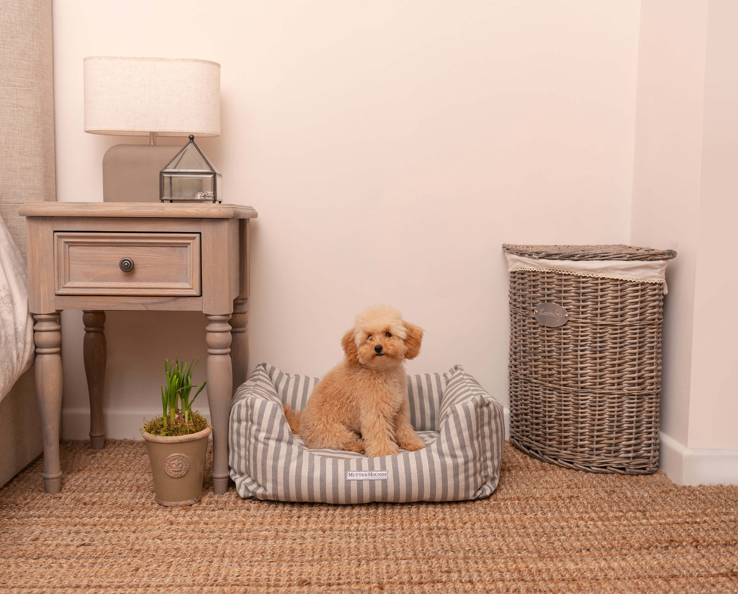 Koiran Peti Boxy Flint Striped