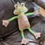 Green & Wilds Francois Le Frog, Eco Dog Toy