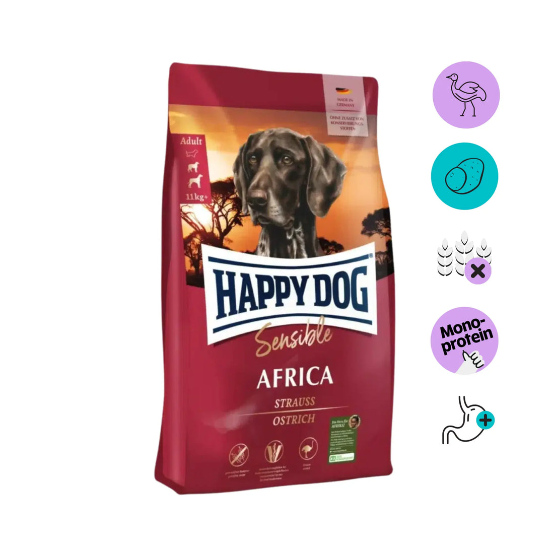Happy_dog_sensible_africa