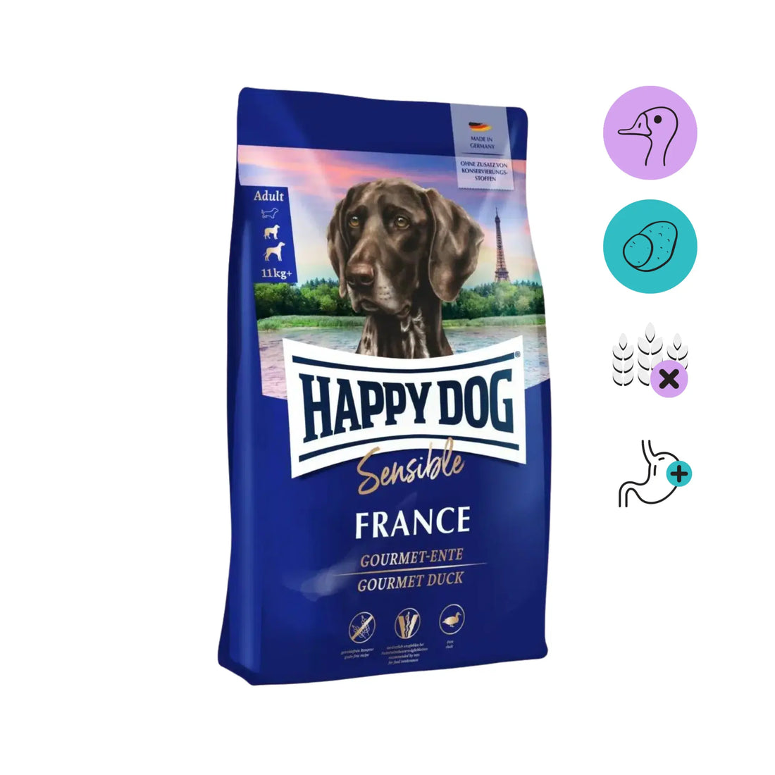 Happy_dog_sensible_france