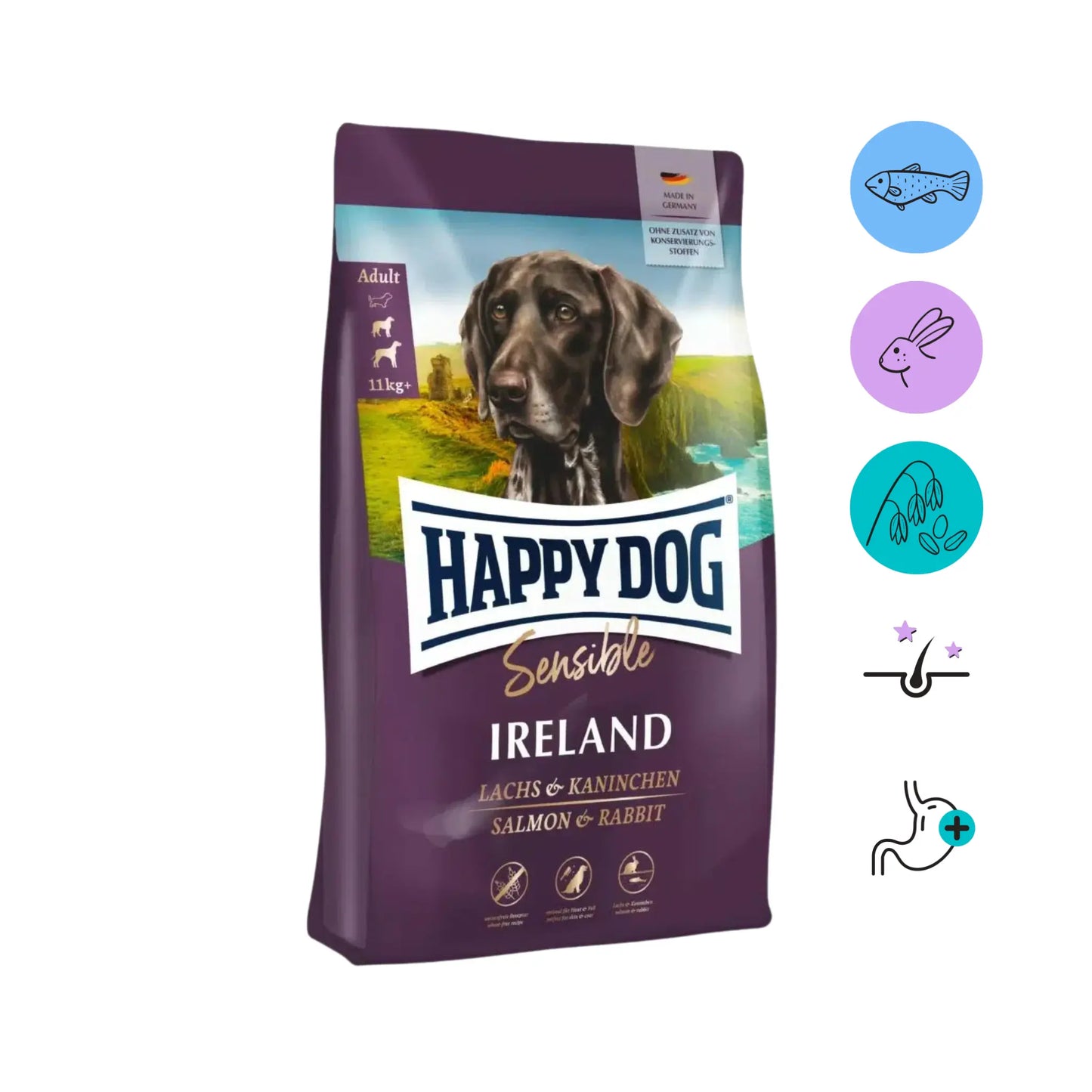 Happy_dog_sensible_ireland