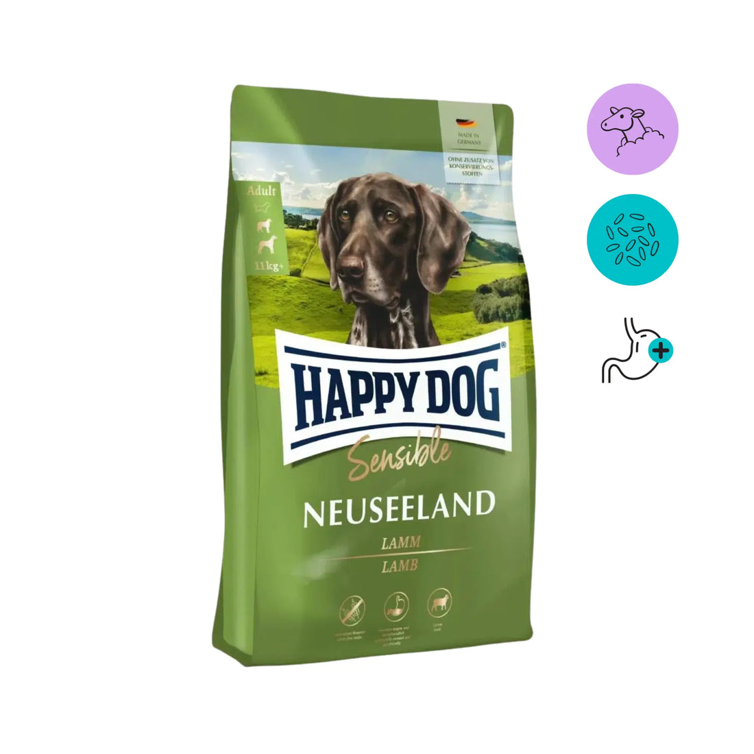 Happy_dog_sensible_neuseeland