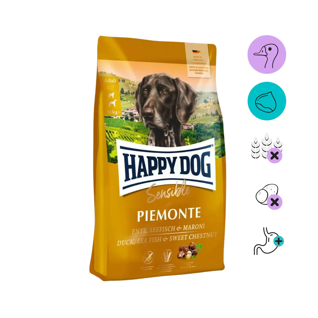 Happy_dog_sensible_piemonte