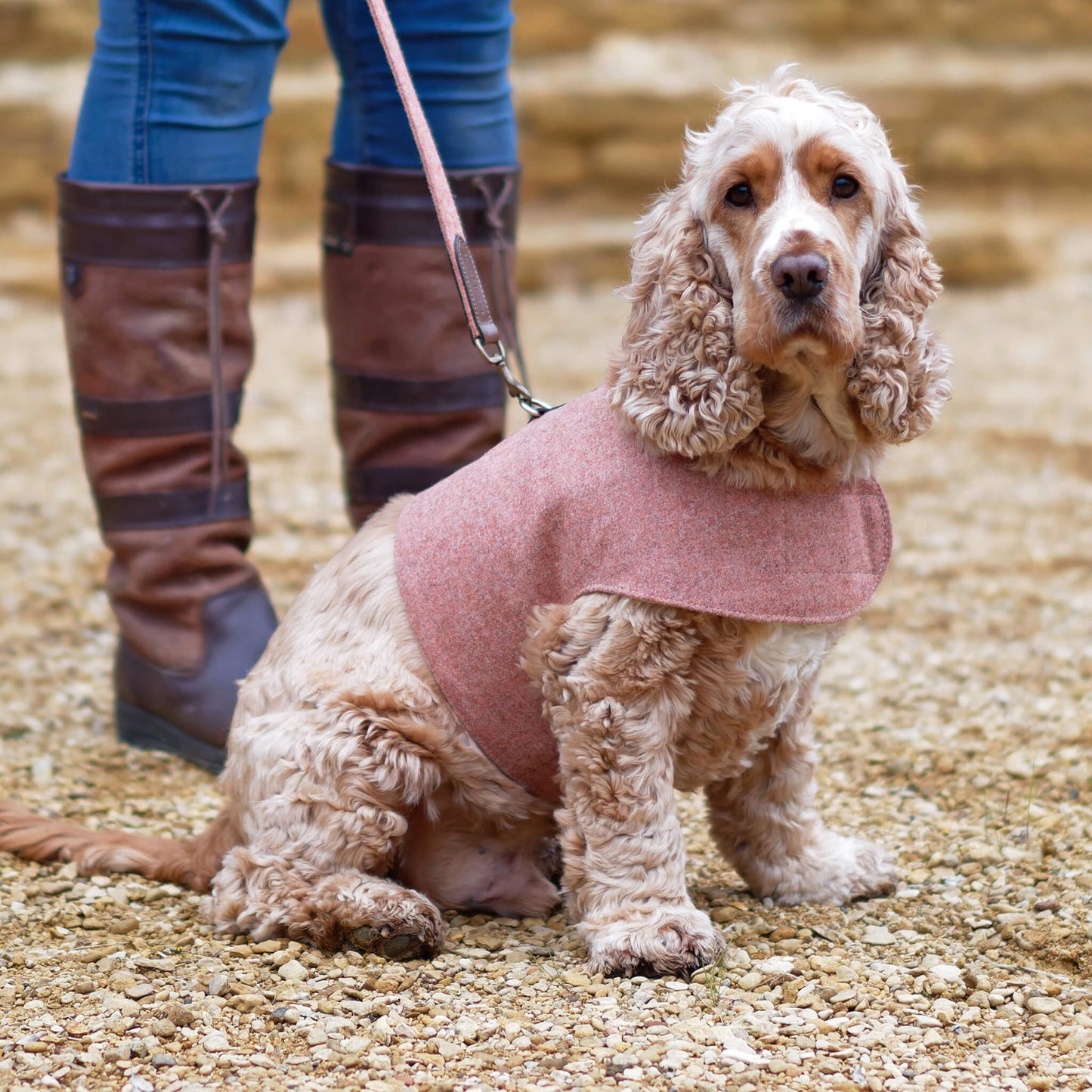 Mutts & Hounds - Pehmeät Paitavaljaat L