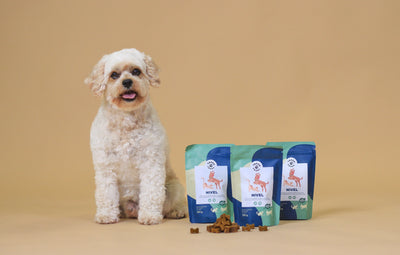 Tassu Foods Nivel 120g