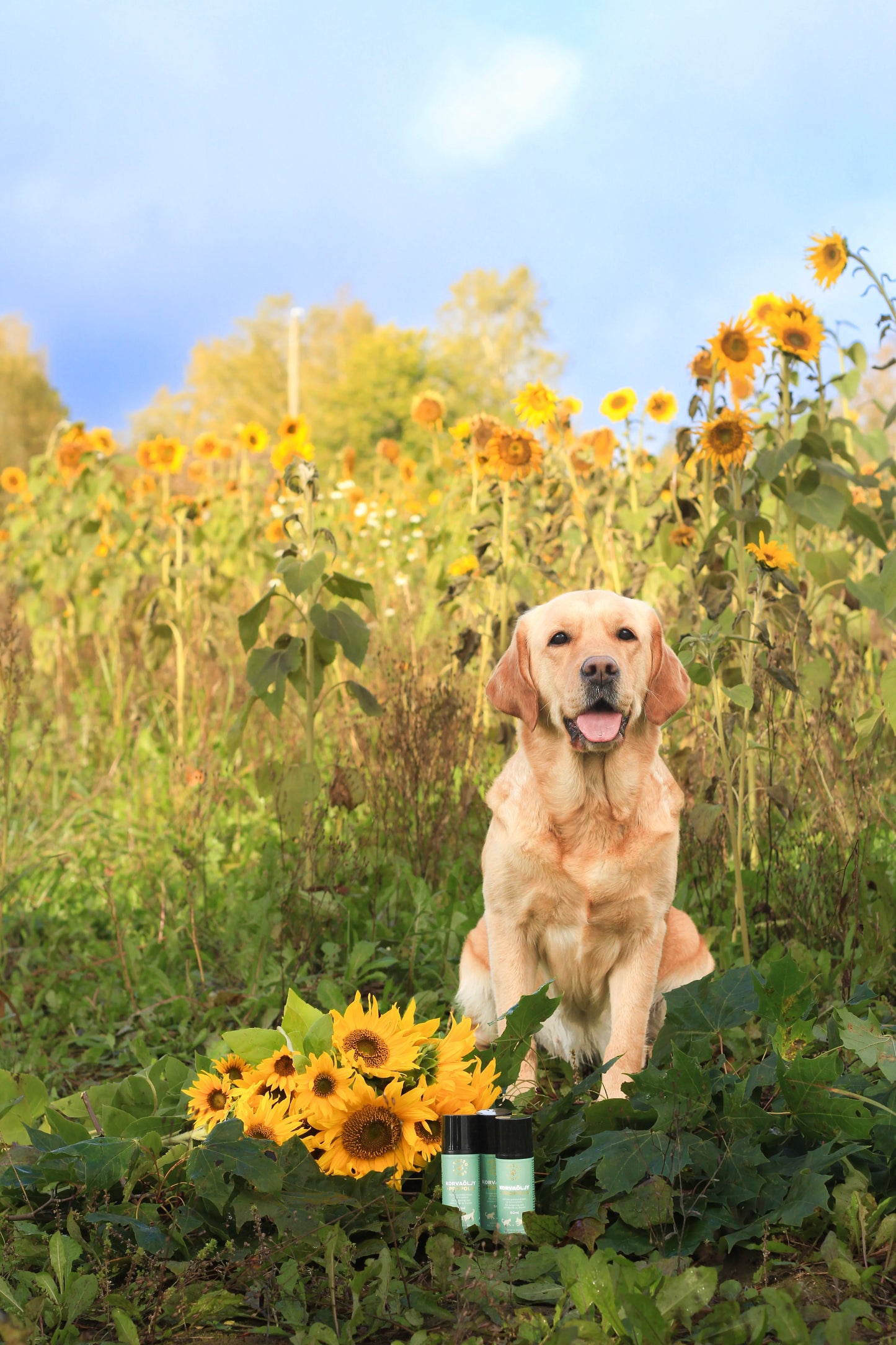 Tassu Foods Korvaöljy + Propolis 50ml