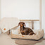 Denzoo Koiranpeti ANCONA, Beige