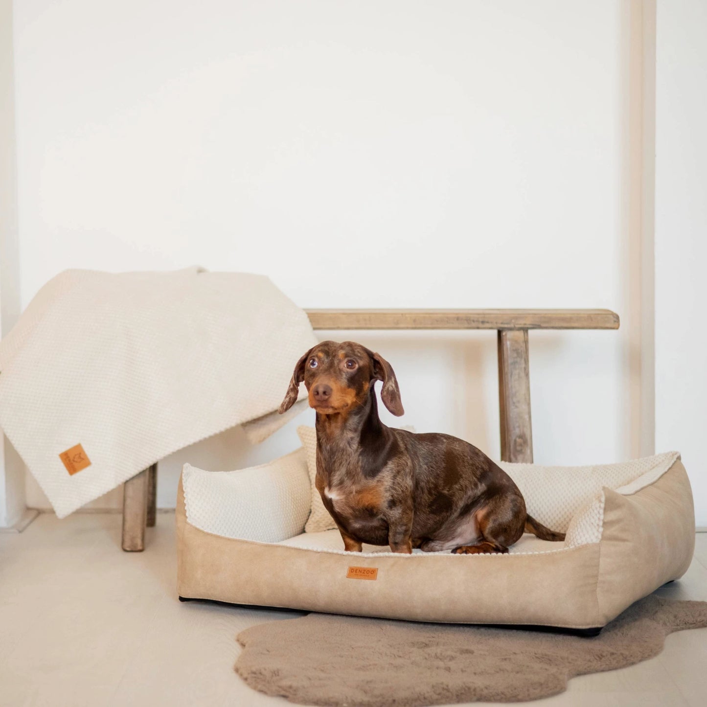Denzoo Koiranpeti ANCONA, Beige