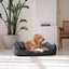 Denzoo Koiranpeti ANCONA, Dark Grey