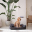 Denzoo Koiranpeti ANCONA, Dark Grey