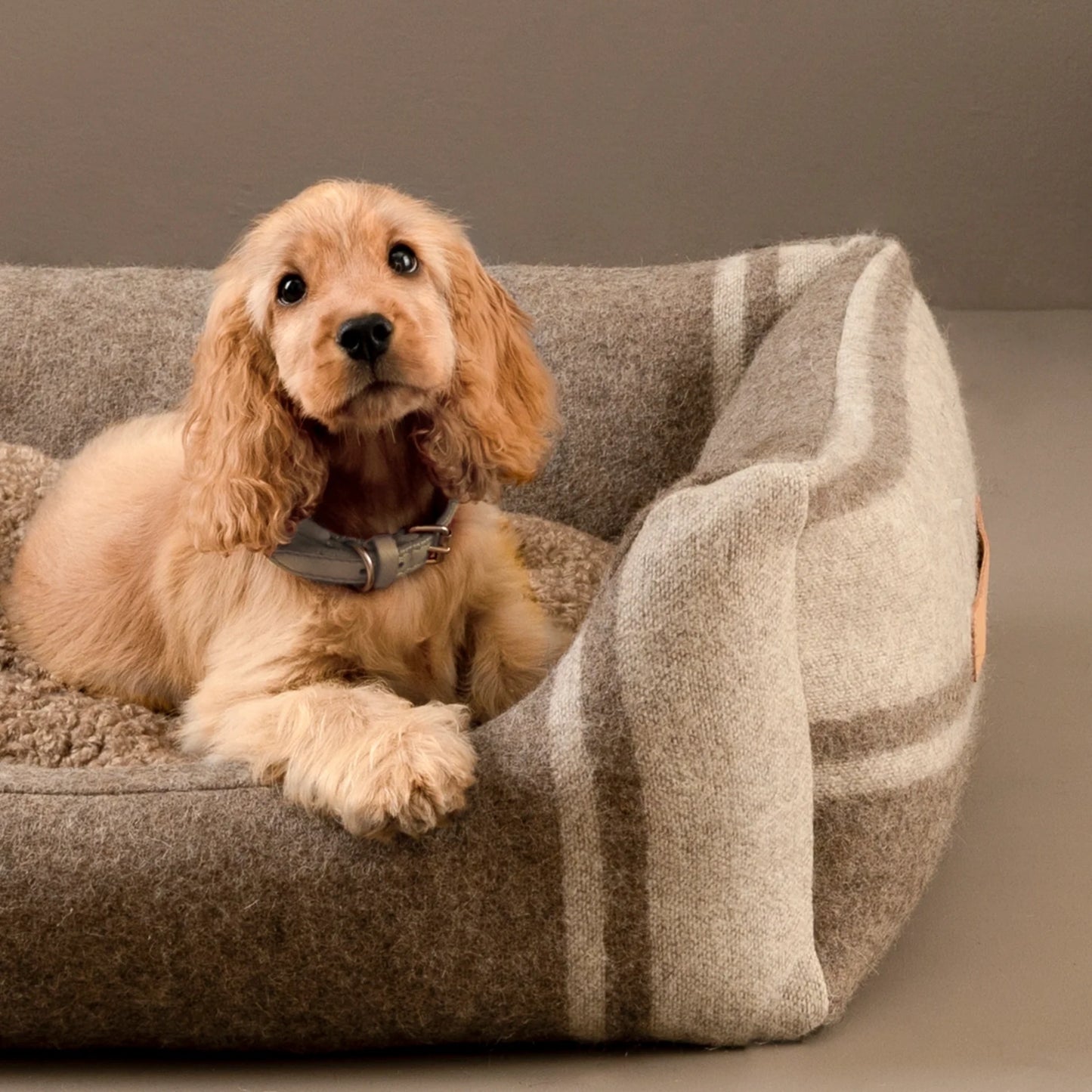 2.8 Henri - Recycled Wool Koiranpeti