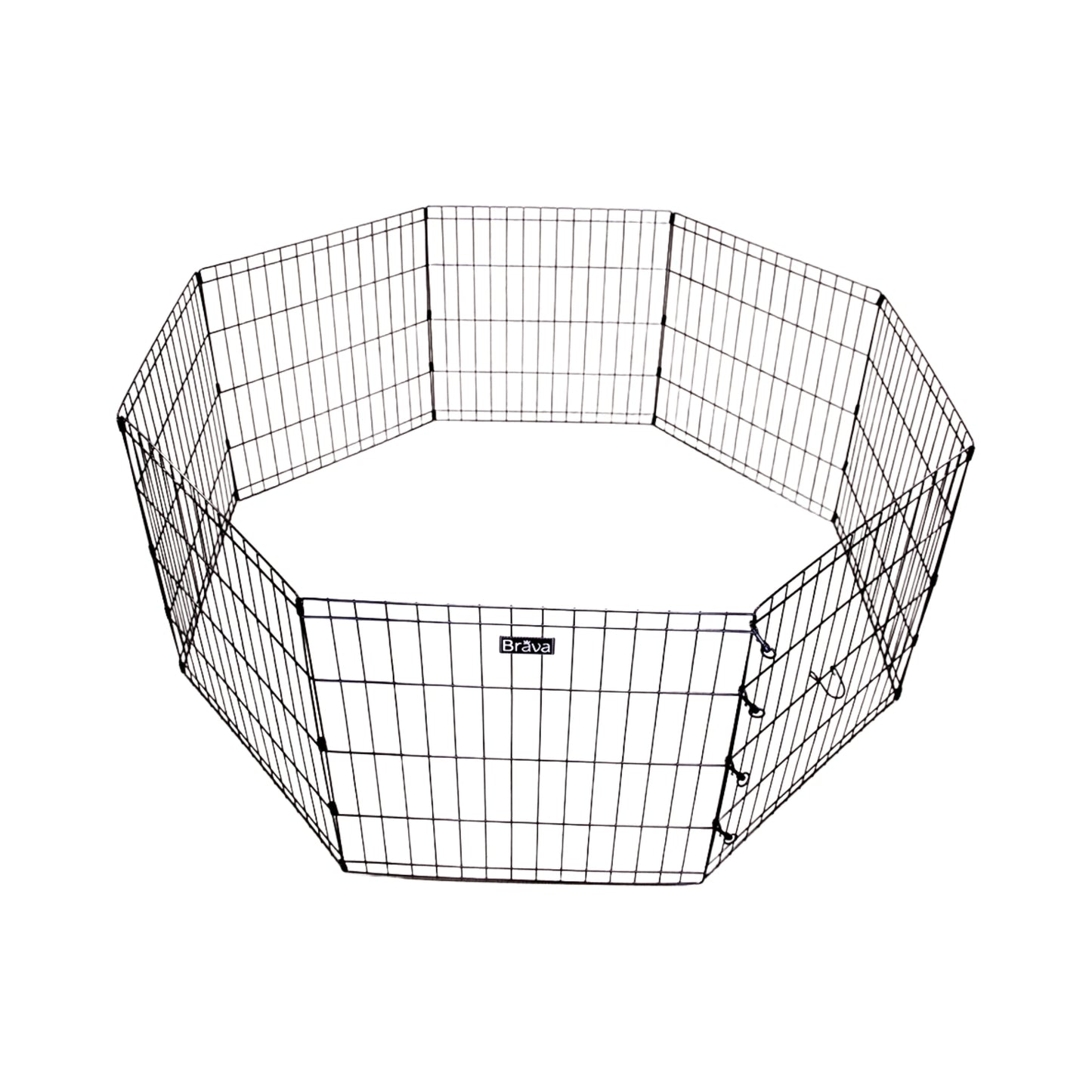 Brava Pentuaitaus, L