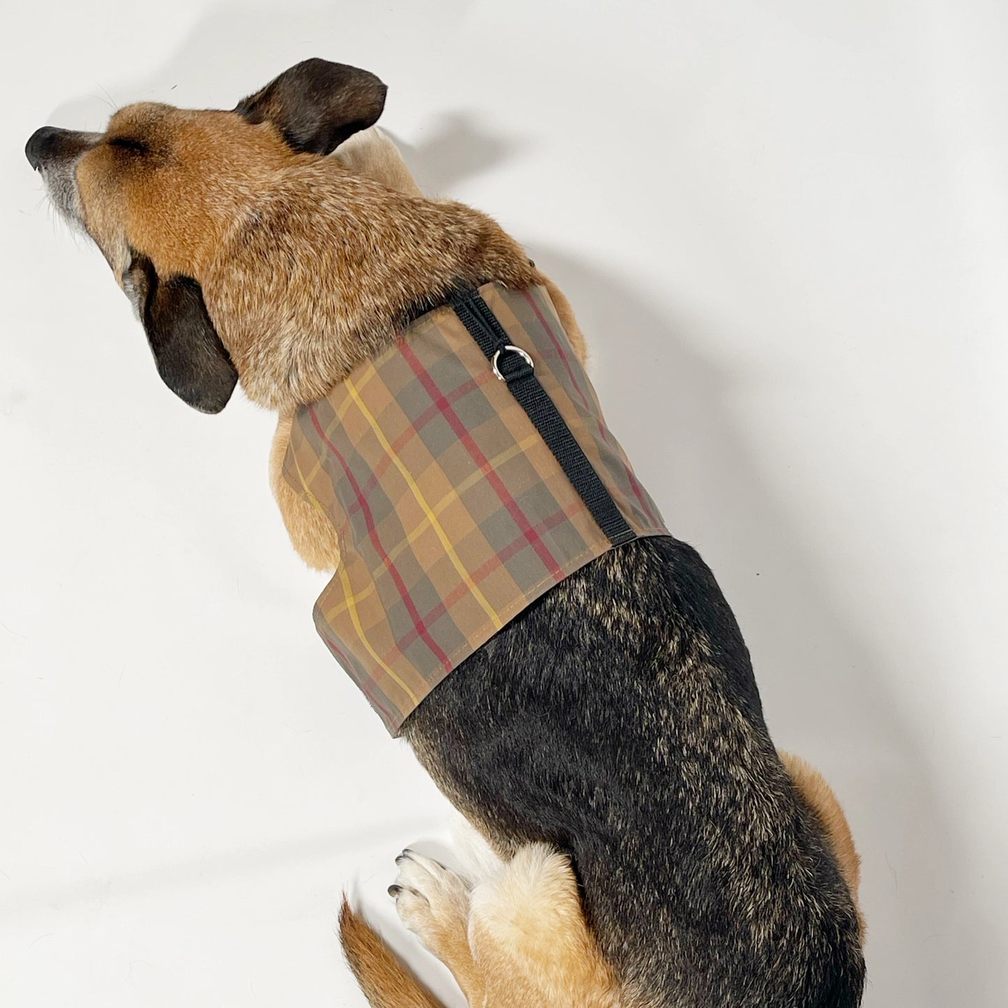 Mutts & Hounds - Pehmeät Paitavaljaat L