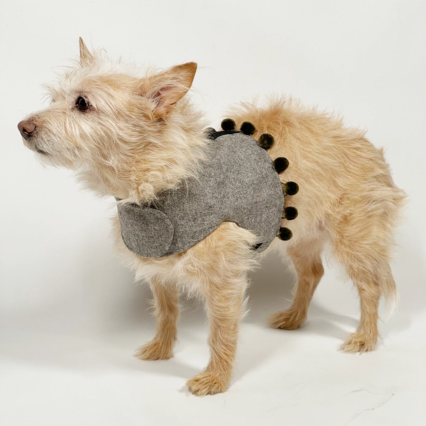 Mutts & Hounds - Pehmeät Paitavaljaat L