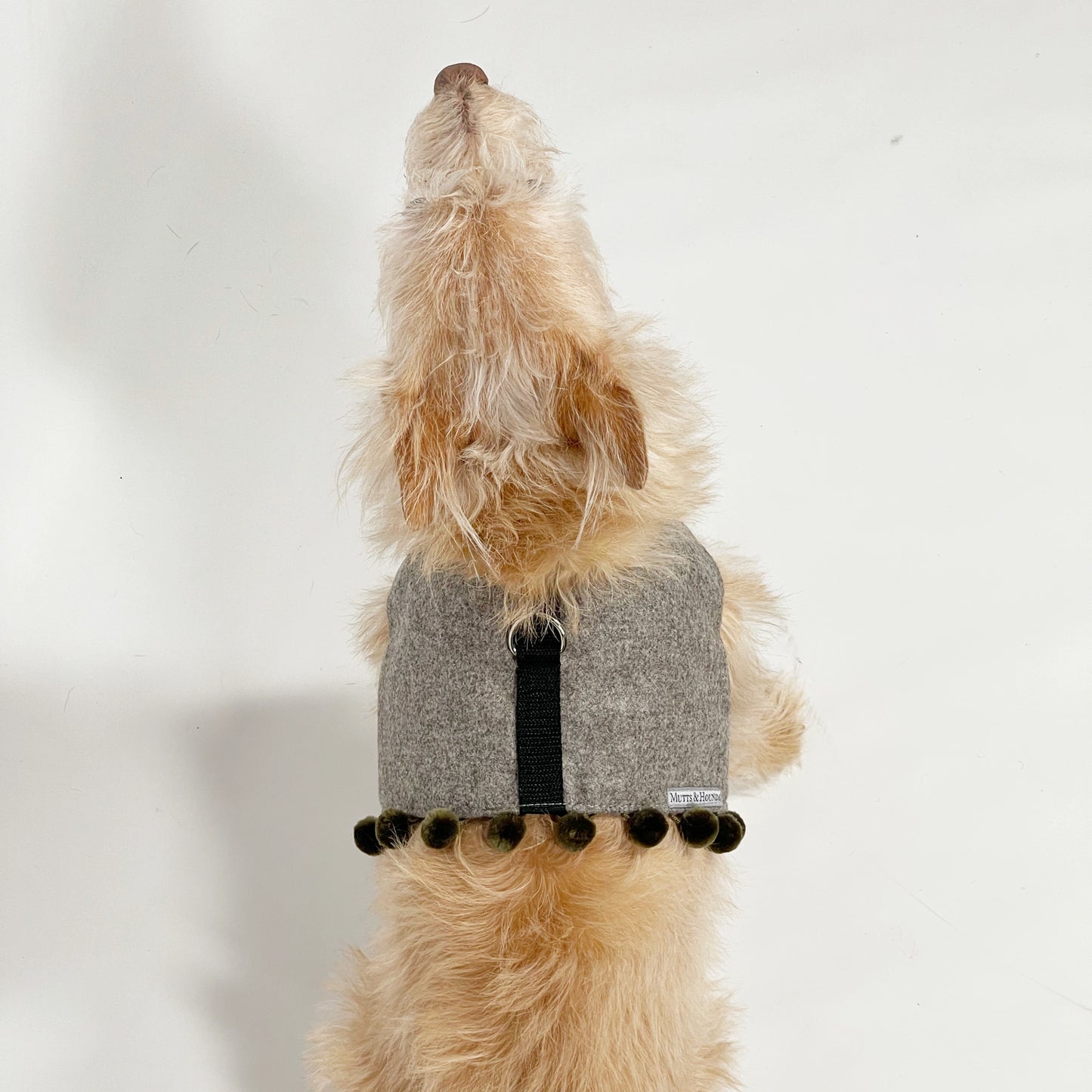 Mutts & Hounds - Pehmeät Paitavaljaat L