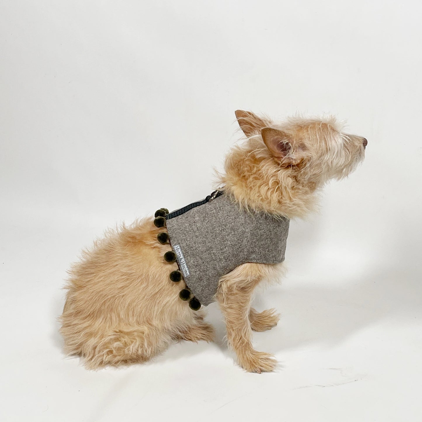 Mutts & Hounds - Pehmeät Paitavaljaat L