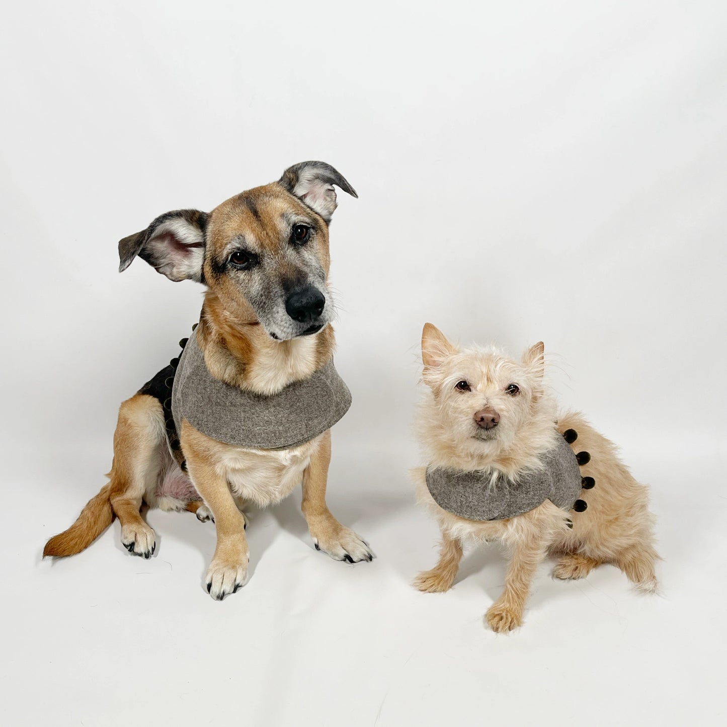 Mutts & Hounds - Pehmeät Paitavaljaat L