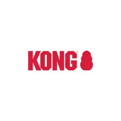 kong logo