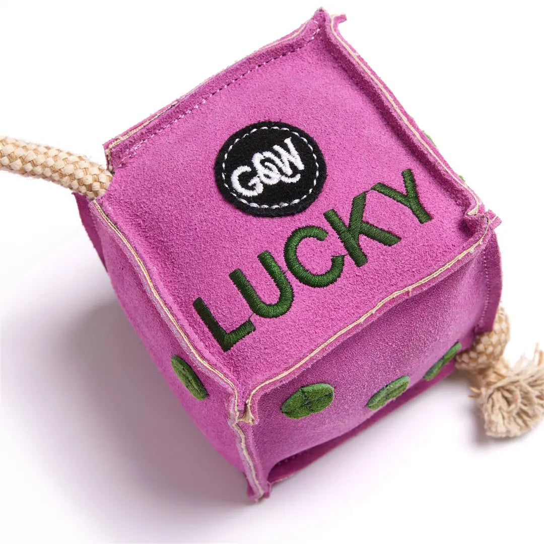 Ekologinen koiranlelu, Green & Wilds Lucky Dice