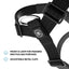 BullyBillows Anti-Pull TRI-Harness®, BLACK – Koulutusvaljaat kaikille roduille