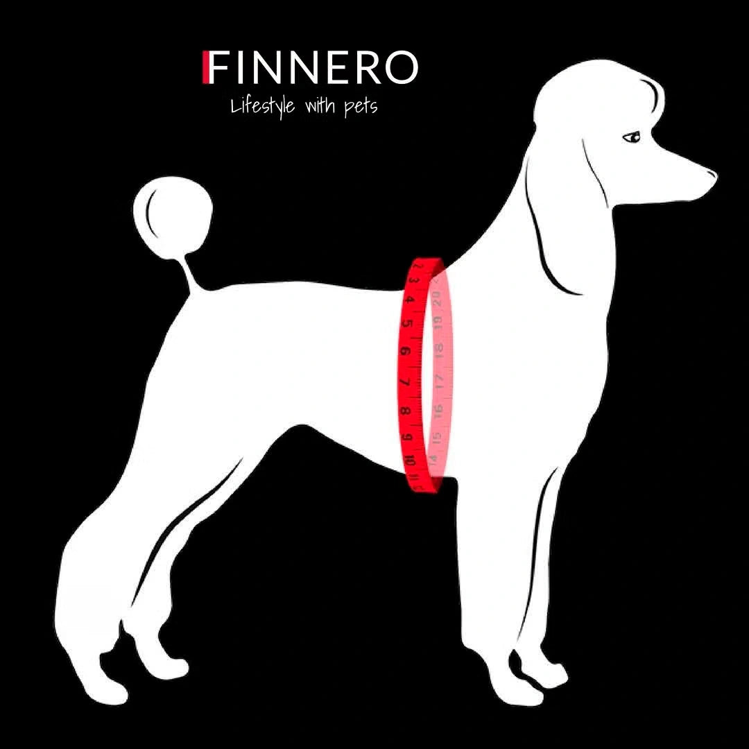 FINNERO GLOW Heijastinliivi Koiralle - Monivärinen