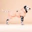 Paikka Reflective Shell Jacket Peach