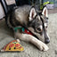 Green & Wilds Pepe Le Pizza, Eco Dog Toy