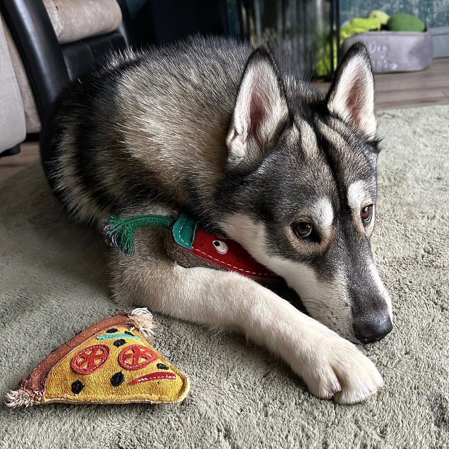 Green & Wilds Pepe Le Pizza, Eco Dog Toy