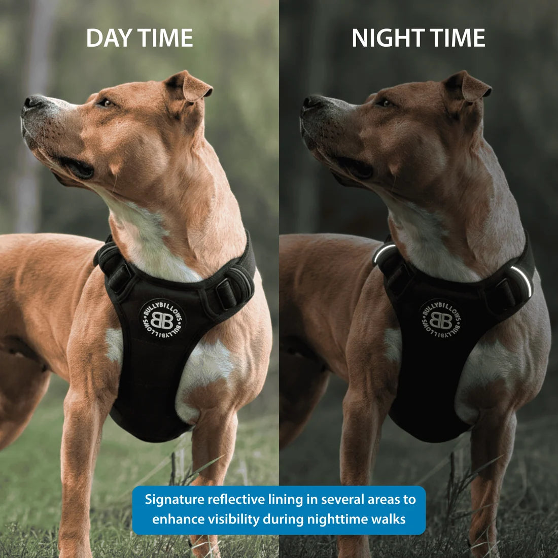 BullyBillows Comfort Premium Harness, BLACK – Ergonominen koiranvaljas
