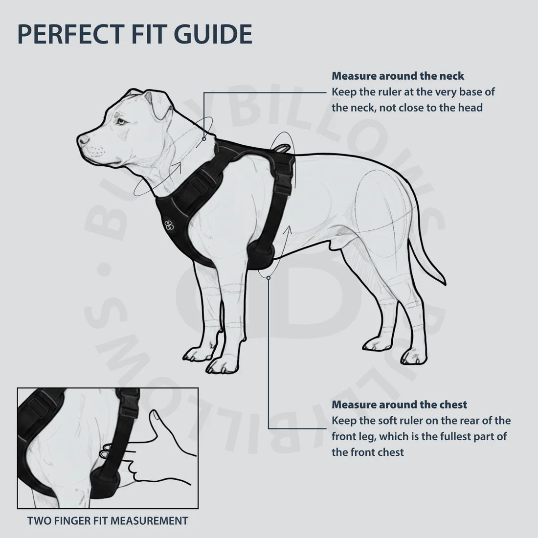 BullyBillows Comfort Premium Harness, BLACK – Ergonominen koiranvaljas