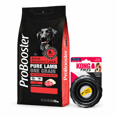 Halloween-paketti: ProBooster Sensitive Lamb 12 kg + KONG Extreme