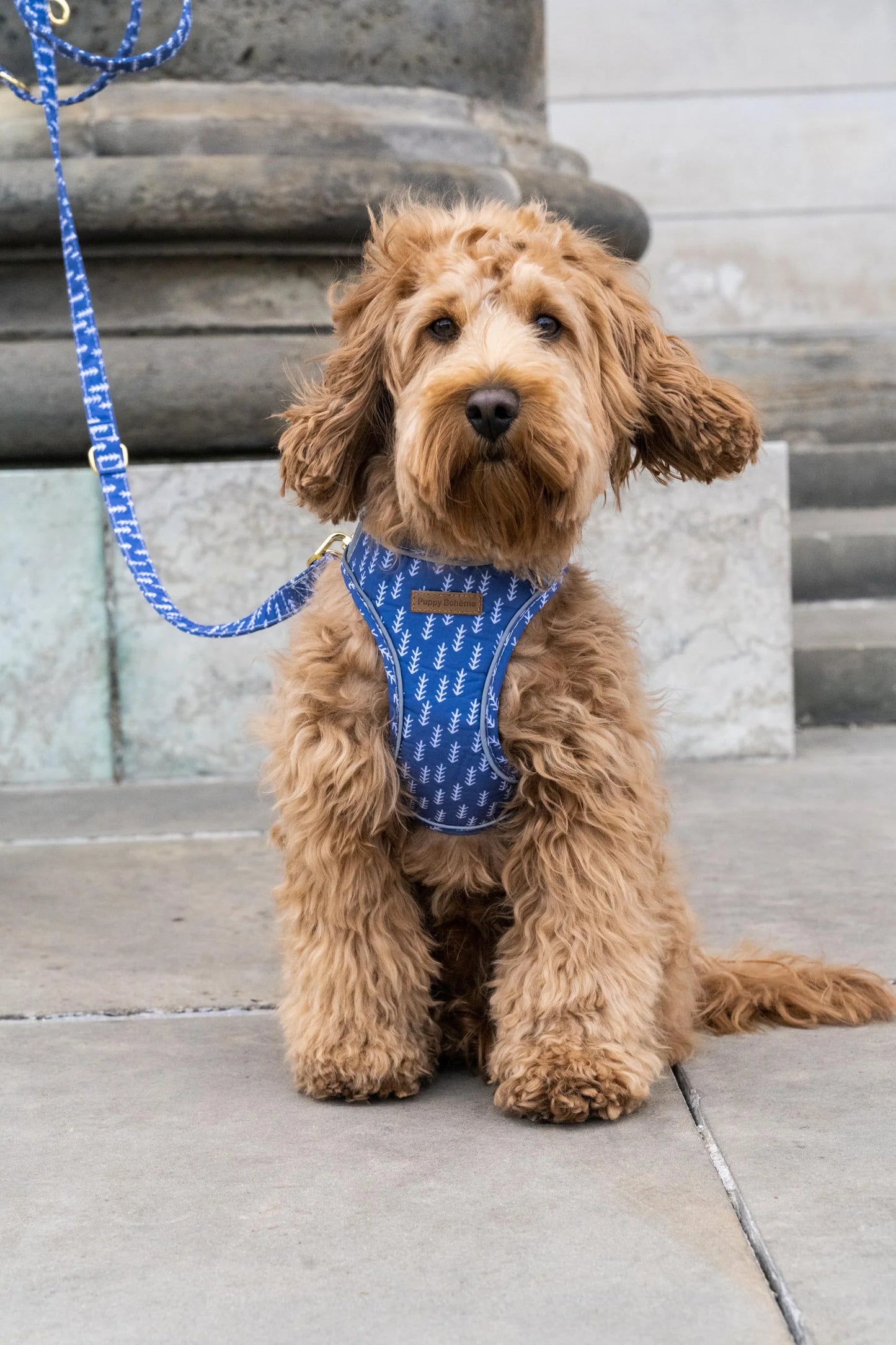 Puppy Bohéme Step-In Valjaat - Arrow