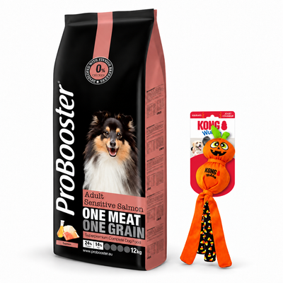 Halloween-paketti: ProBooster Sensitive Salmon 12 kg + Kurpitsa
