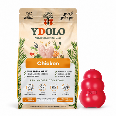 Halloween-paketti: YDOLO Chicken 10 kg + KONG Classic