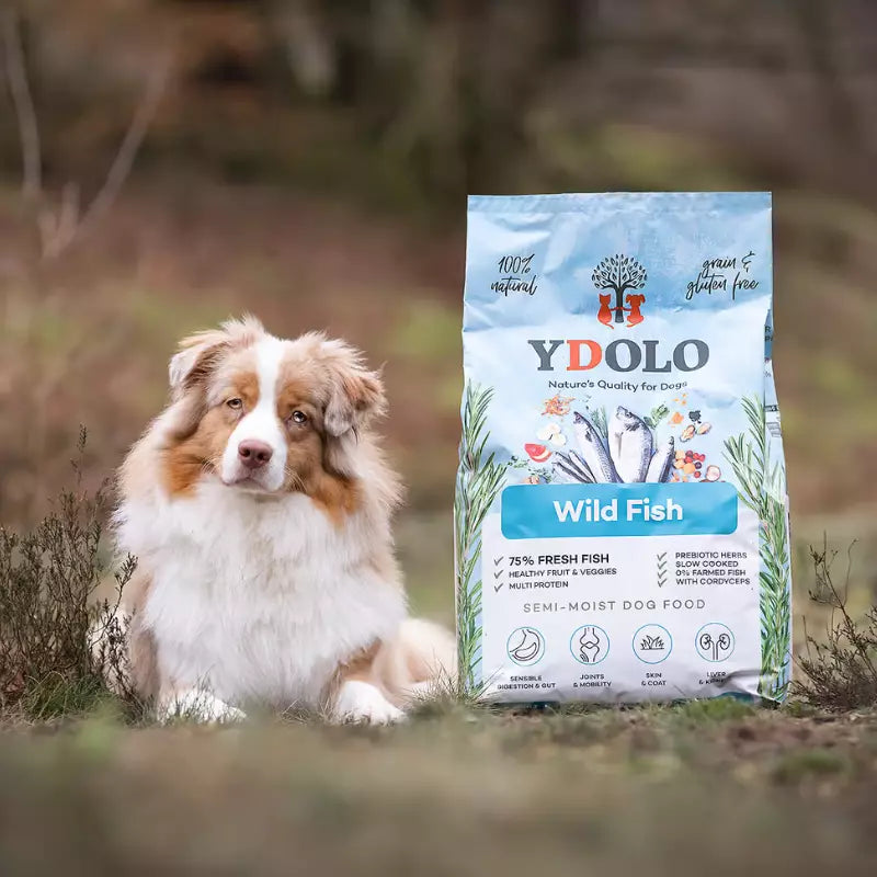 YDOLO Healthy & Pure Wild Fish - Puolikostea koiranruoka