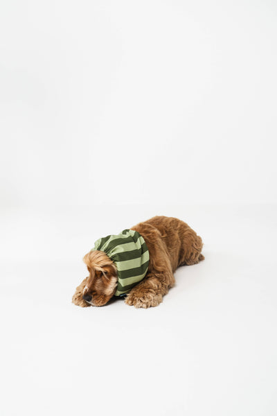 Lou & Co. Koiran Huppu - Vihreät Raidat