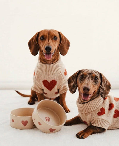 Ruokakuppisetti Cozy Hearts 14cm