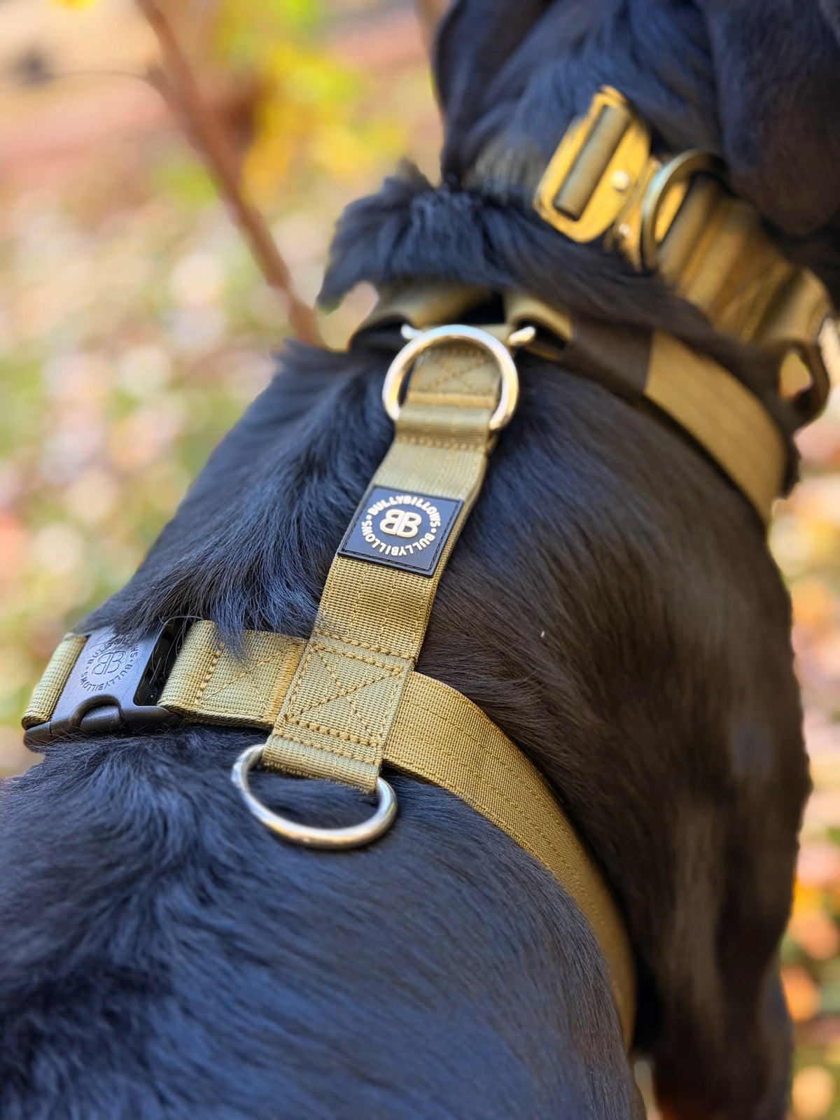 BullyBillows Anti-Pull TRI-Harness®, KHAKI – Koulutusvaljaat kaikille roduille