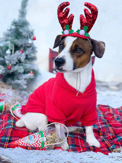 Cooka's Cookies Crunchy Woofmas Balls - Rapeat ja Luonnilliset Kana & Kalkkunaherkut Koirille