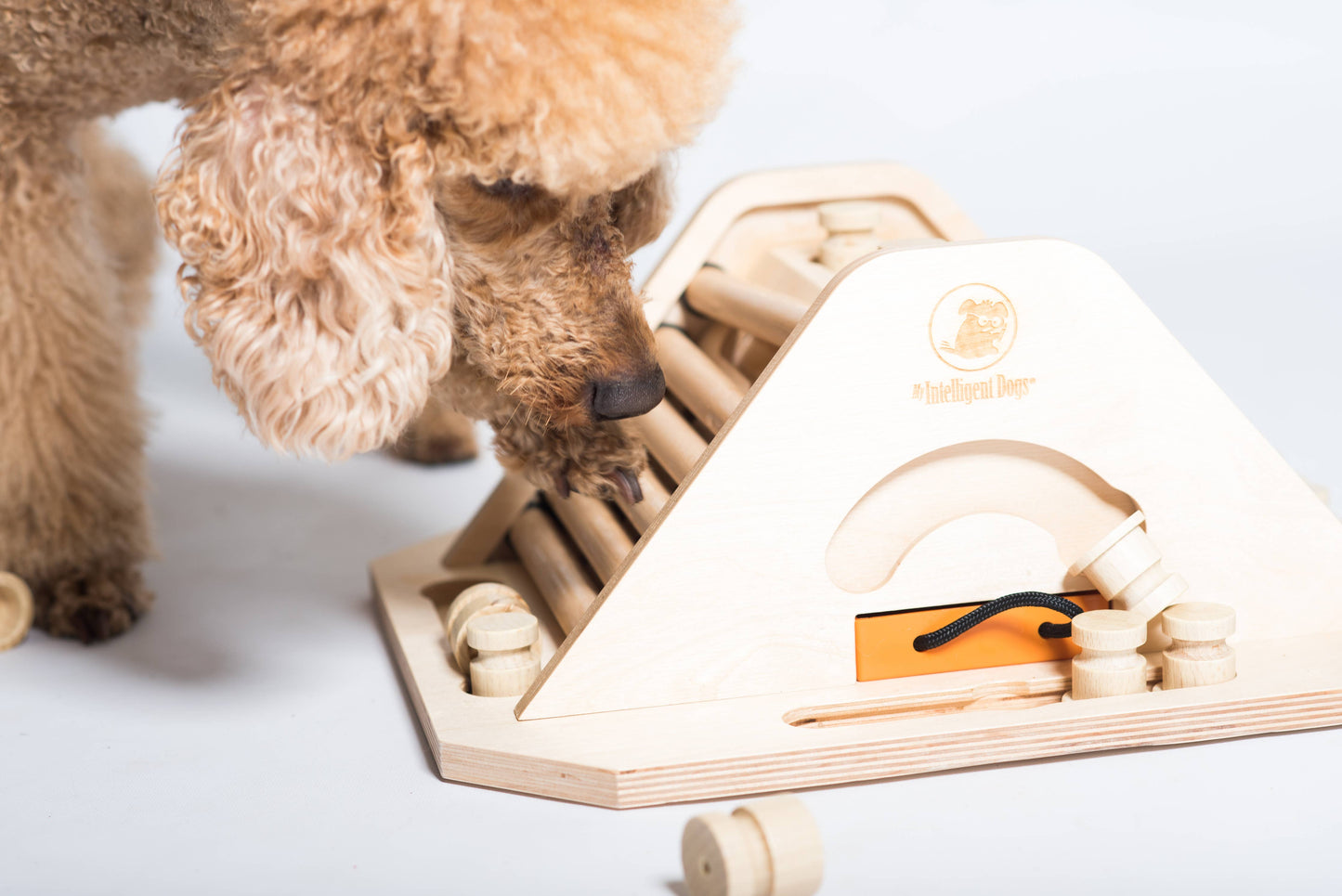 My Intelligent Dogs Pyramid – Haastava älypeli koirille