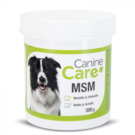 Canine Care MSM