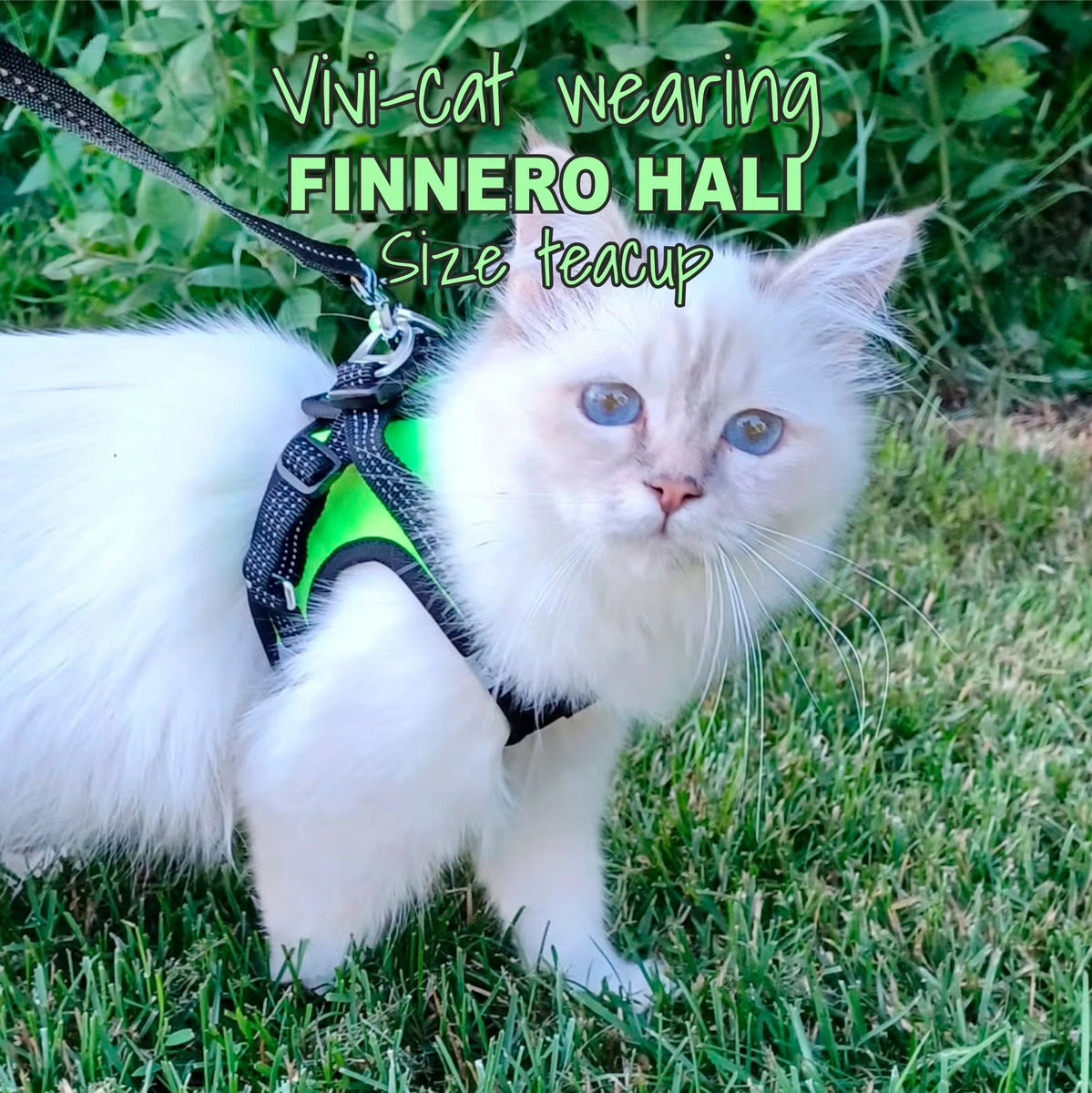 Finnero Hali Liivivaljaat Lemmikille