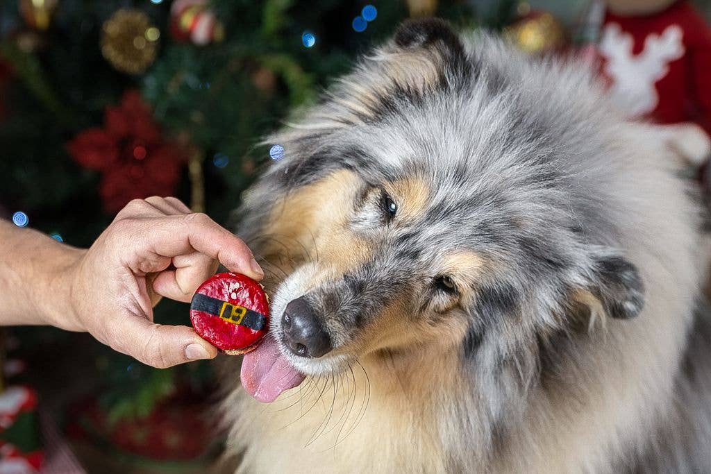 Cooka's Cookies Santa's Belly Macaronit - Christmas Gift Box