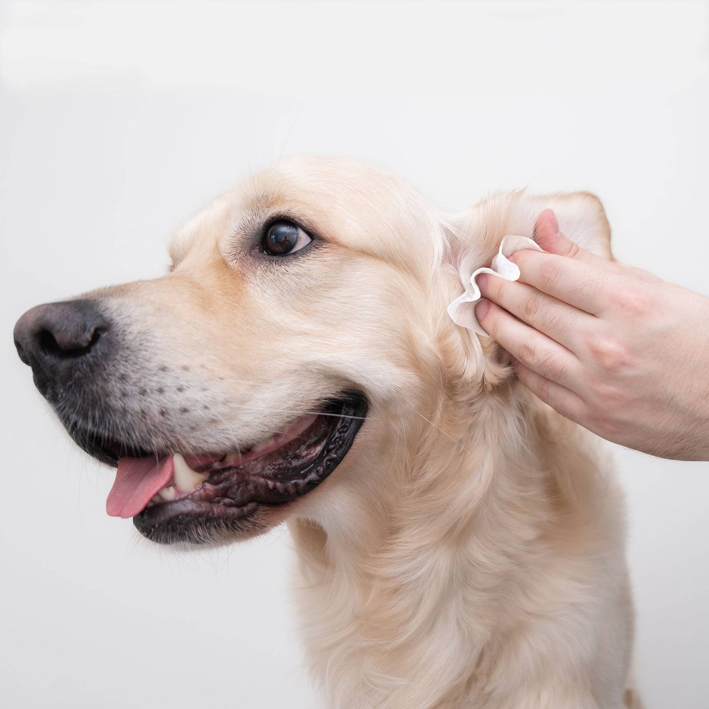 Eye Envy Fresh Ear Cleaning Wipes for Dogs 60kpl