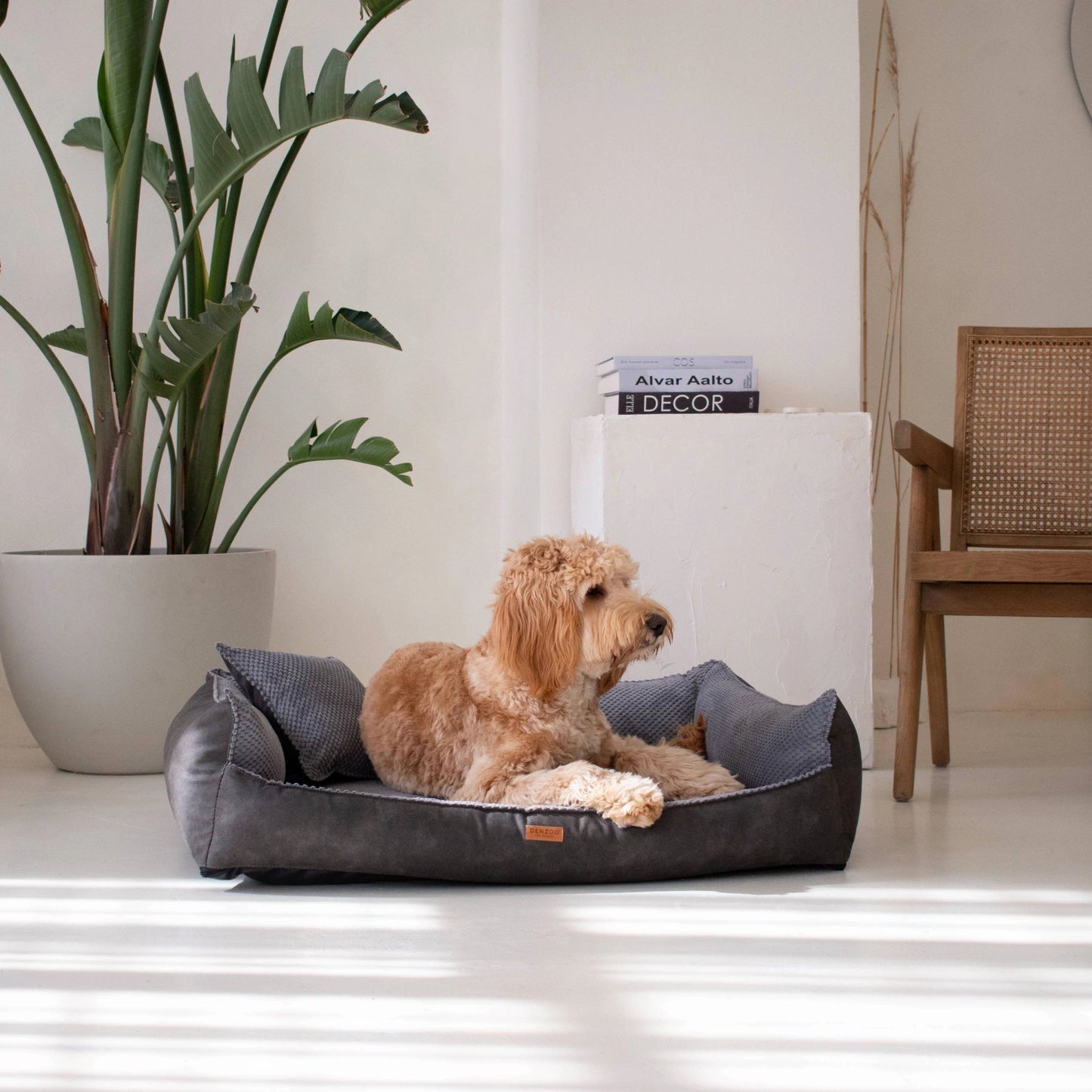 Denzoo Koiranpeti ANCONA, Dark Grey