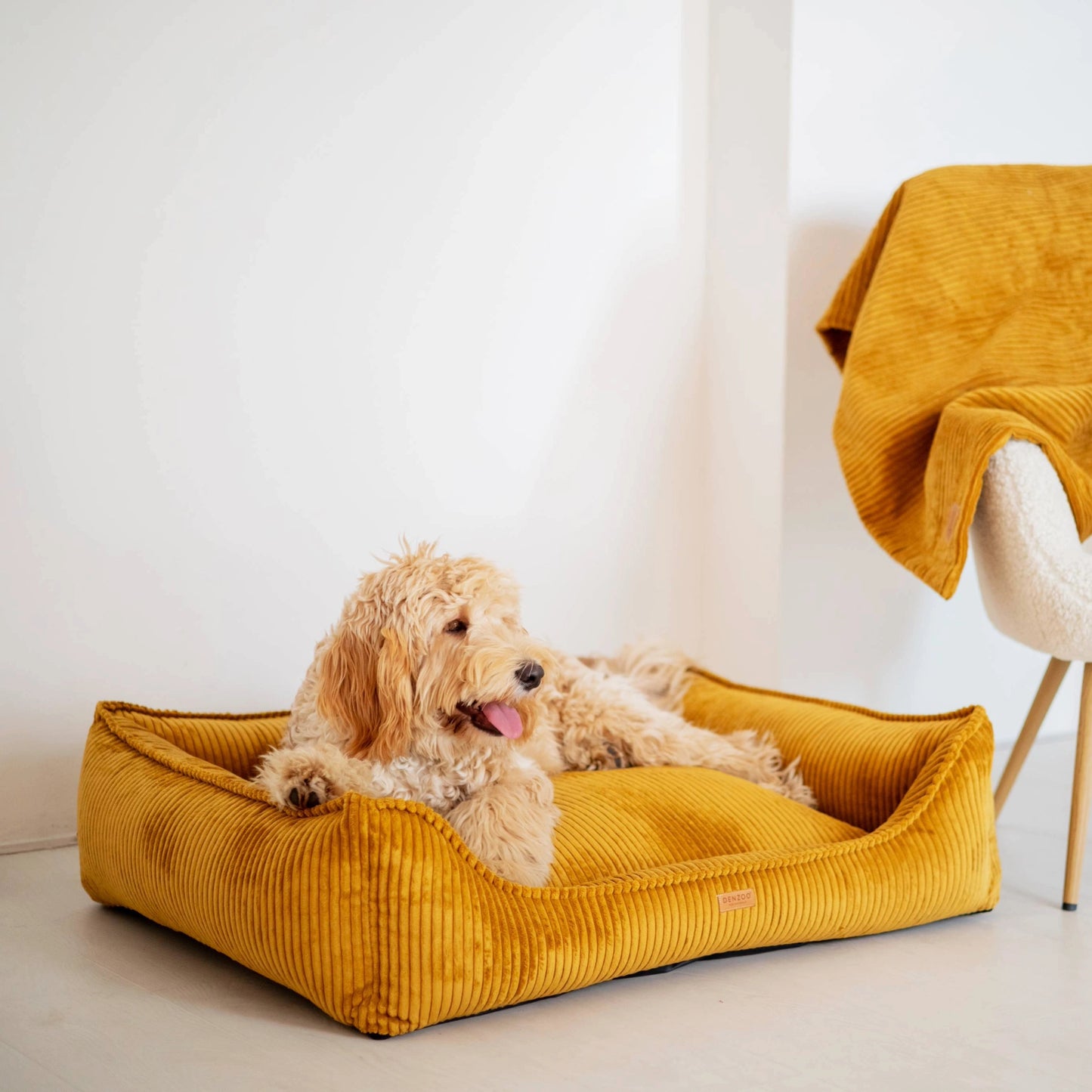 Denzoo Koiranpeti MILANO, Mustard