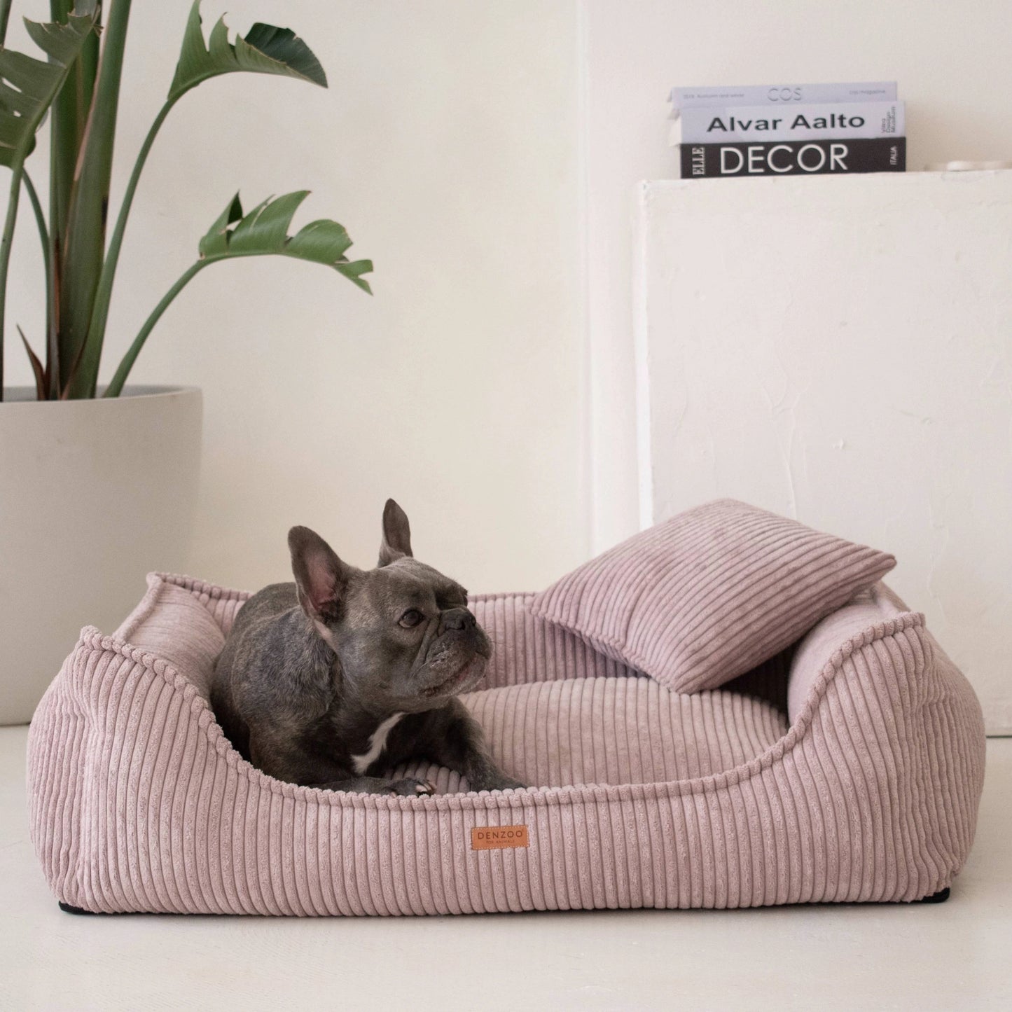 Denzoo Koiranpeti MILANO, Rose