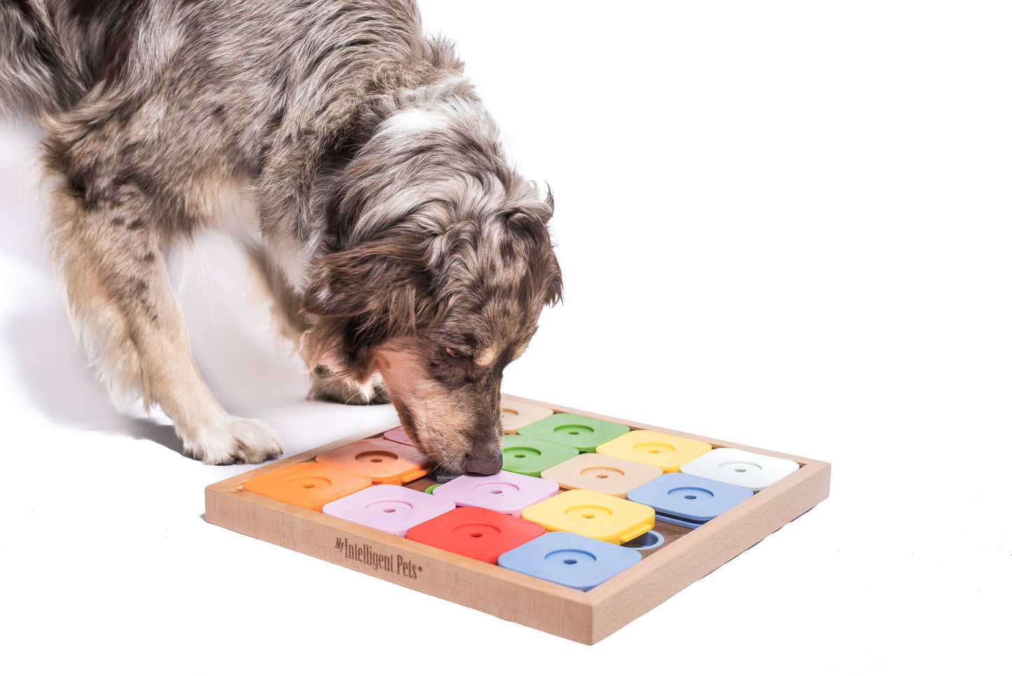 My Intelligent Dogs SUDOKU Large - Älypeli Korille